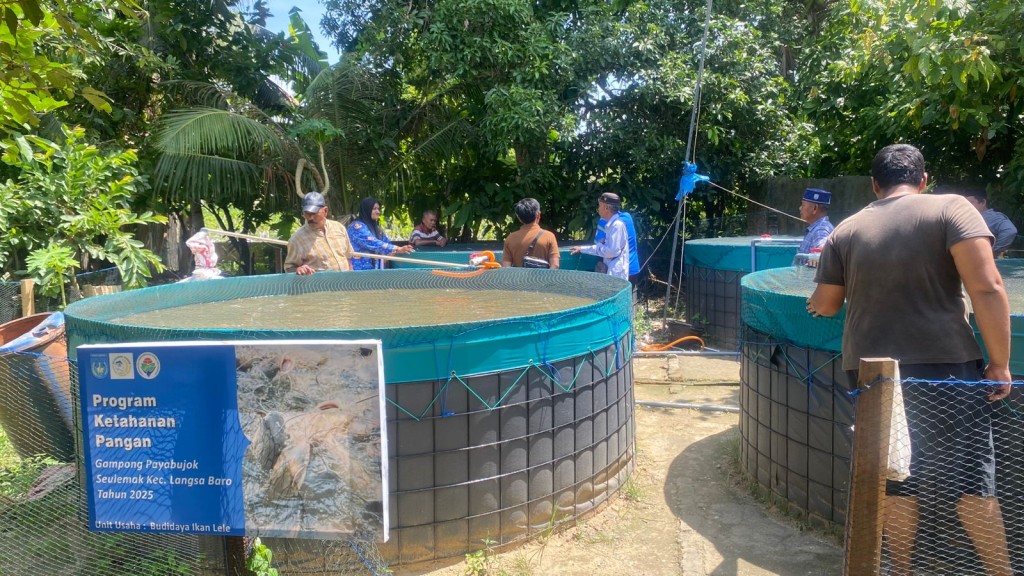 Program Ketahanan Pangan Gampong (Budidaya Ikan Lele)