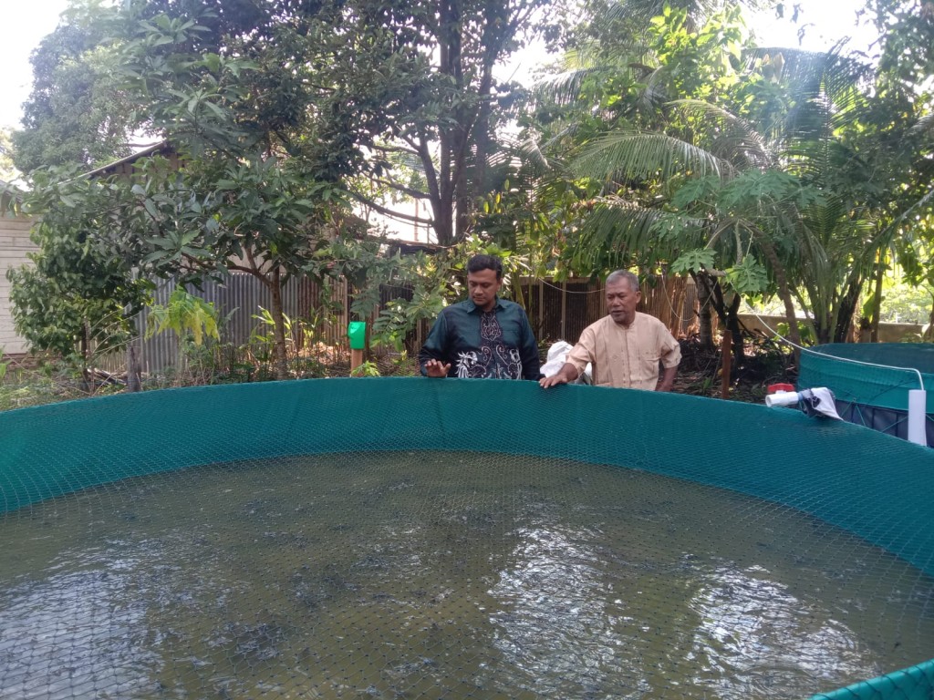 Program Ketahanan Pangan Gampong (Budidaya Ikan Lele)